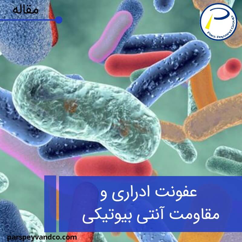 عفونت ادراری - باکتری هایی که باعث عفونت ادراری میشوند.