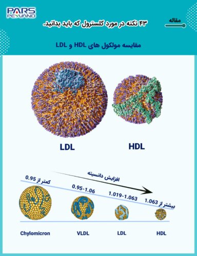 تفاوت LDL و HDL 