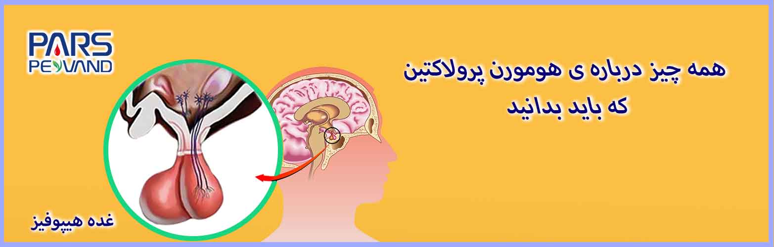 همه-چیز-که-باید-درباره-پرولاکتین-باید-رعایت-کنید آزمایش پرولاکتین