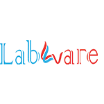 Logo of Labwar