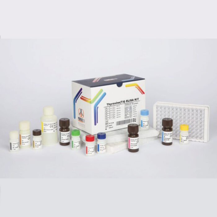 T4 - Image 1