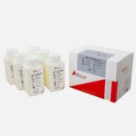 دلتادرمان TRIGLYCERIDES Hitachi + MPR - Image 2